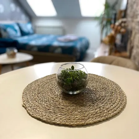 Apartamento Centrum - Free Private Parking *